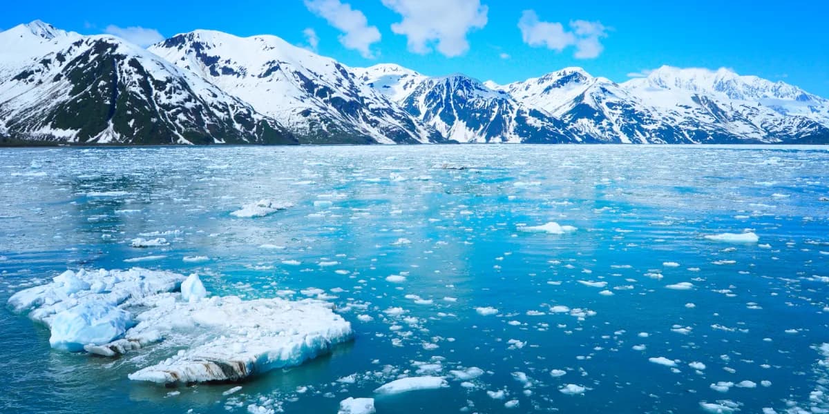 Cesta na severní pól Cesta na severní pól