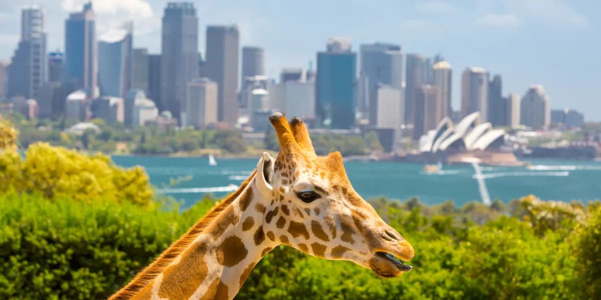 Taronga Zoo Taronga Zoo