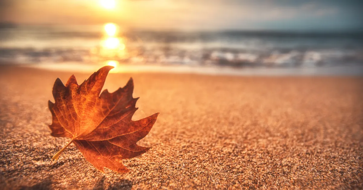 Kam letět v listopadu? Kam letět v listopadu?