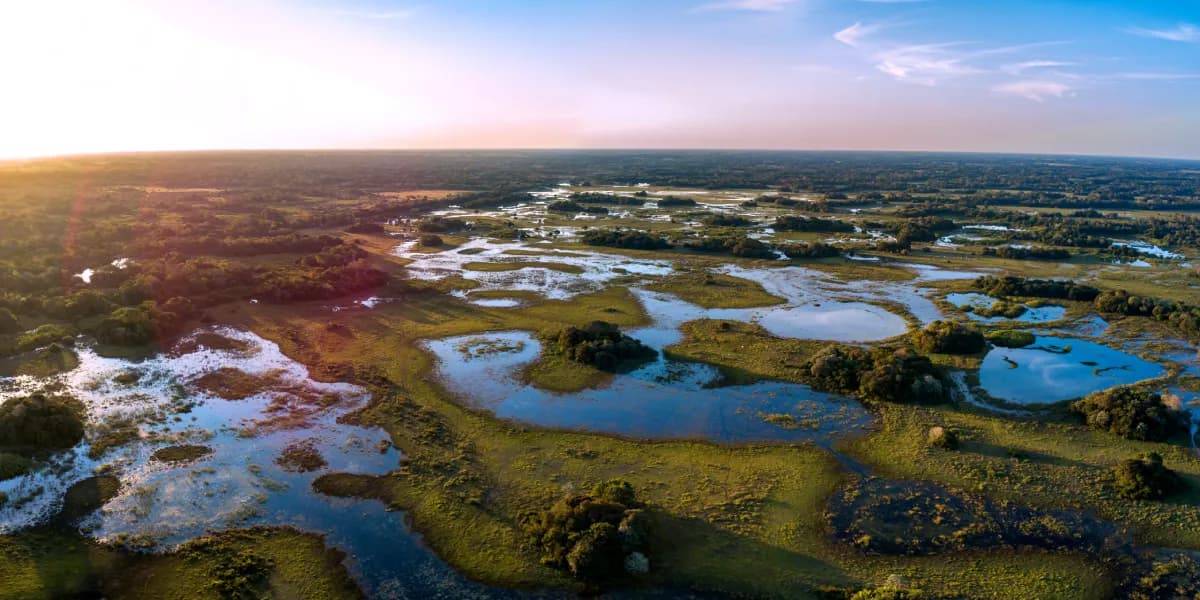 Pantanal Pantanal