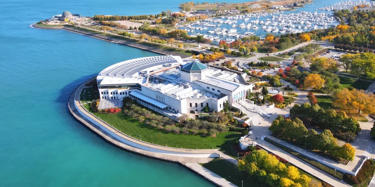 Shedd Aquarium Shedd Aquarium