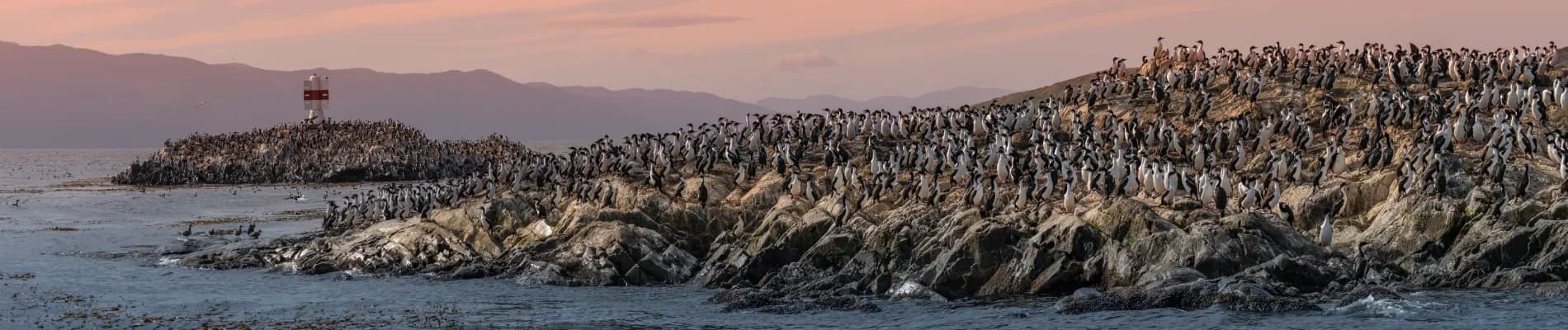 Průliv Beagle Průliv Beagle