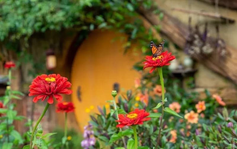 Návštěva Hobitína Návštěva Hobitína