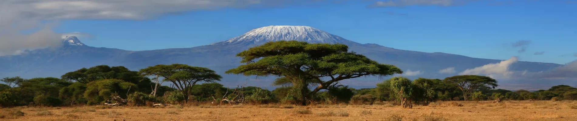 Kilimandžáro Kilimandžáro