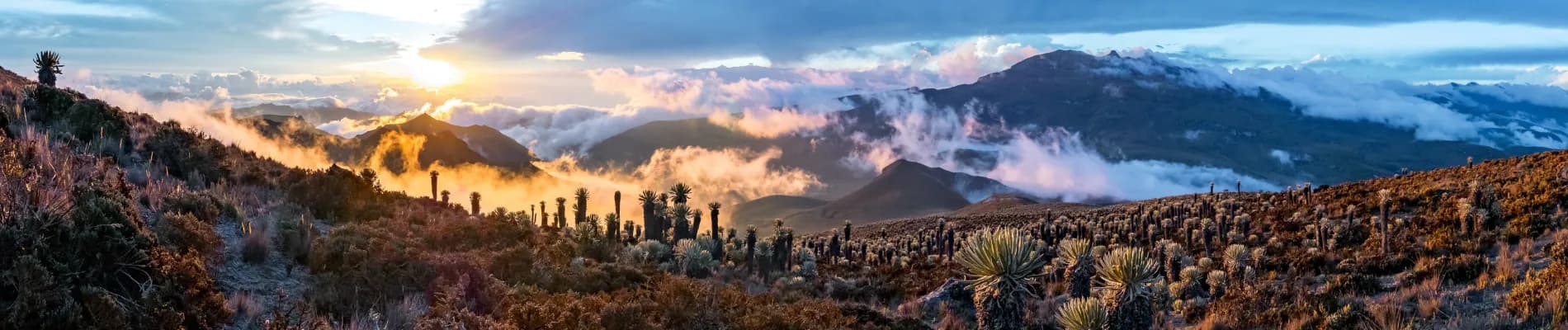 Národní park Los Nevados Národní park Los Nevados
