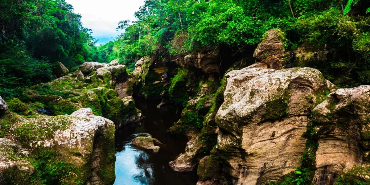 Dobrodružství v Amazonii Dobrodružství v Amazonii