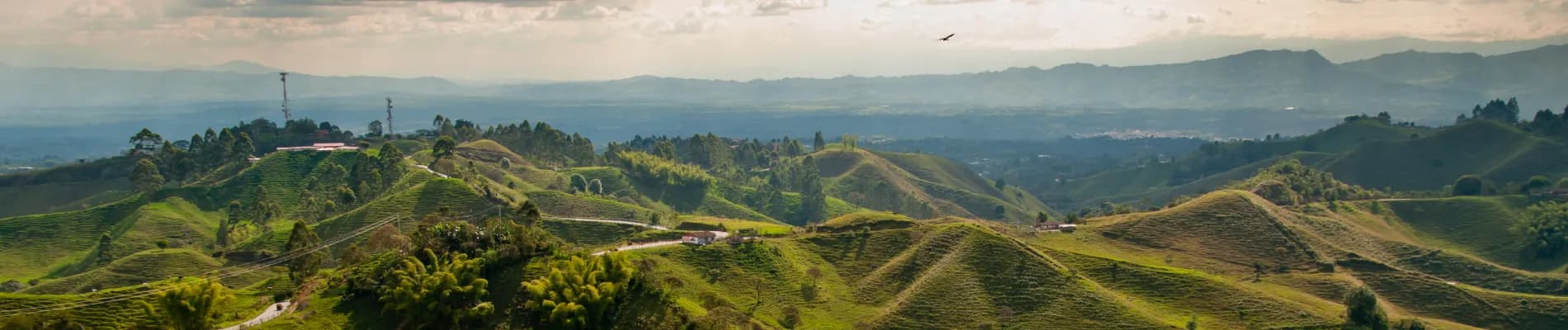 Kávový trojúhelník Kávový trojúhelník