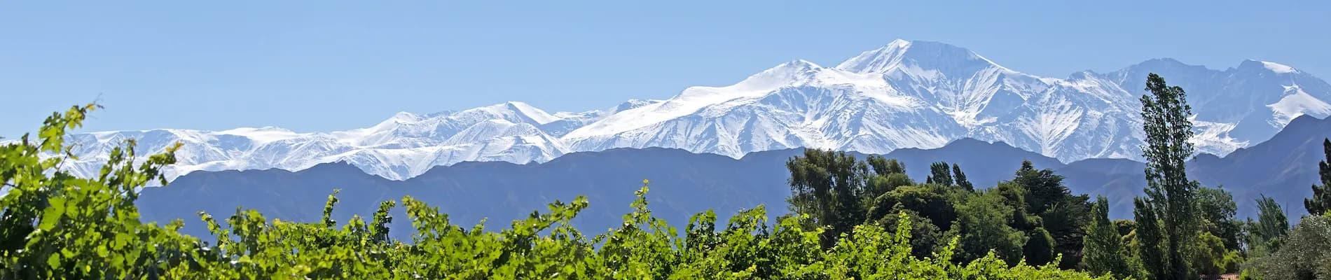 Lujan de Cuyo, Andy Lujan de Cuyo, Andy