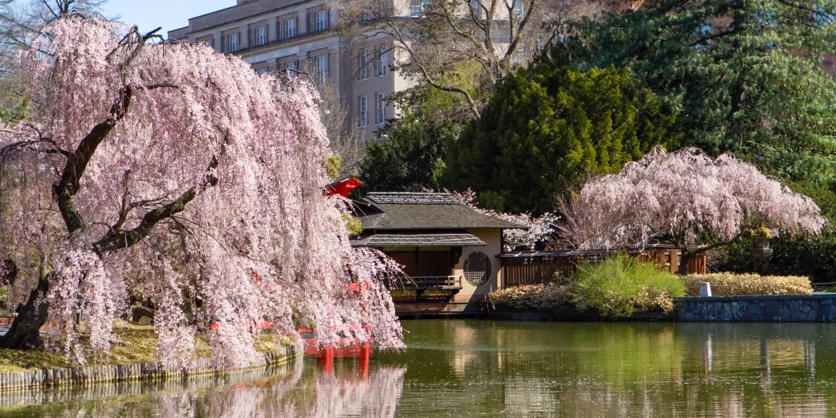 Brooklyn Botanic Garden Brooklyn Botanic Garden