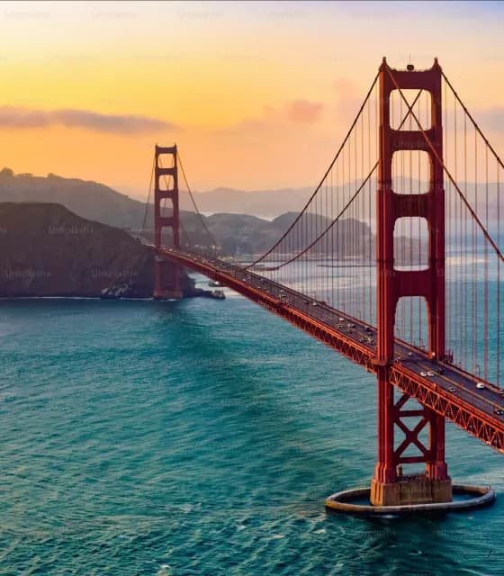 SFO banner 560x640 (1).webp