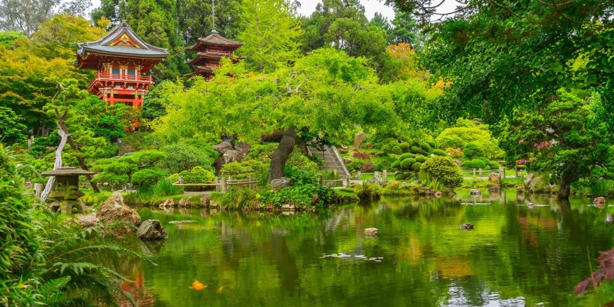 Golden Gate Park Golden Gate Park