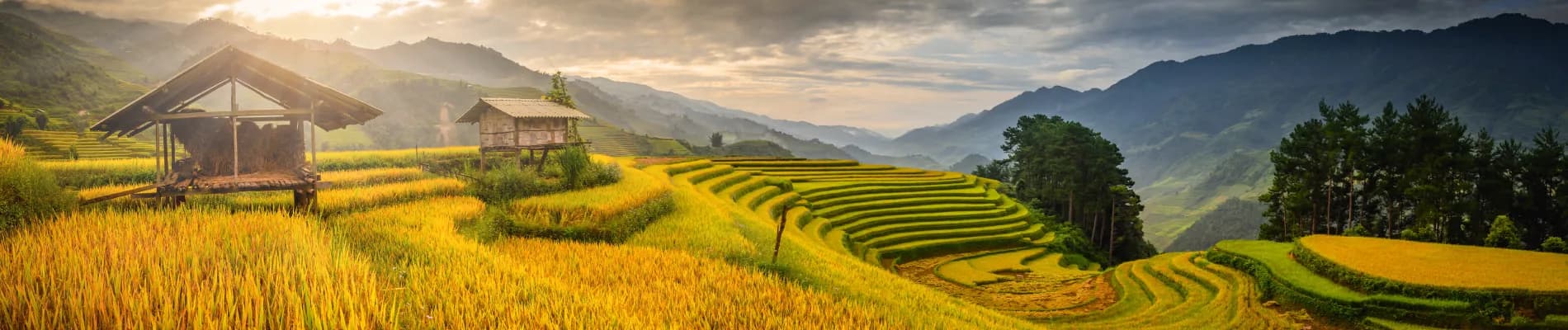 Mu Cang Chai Mu Cang Chai
