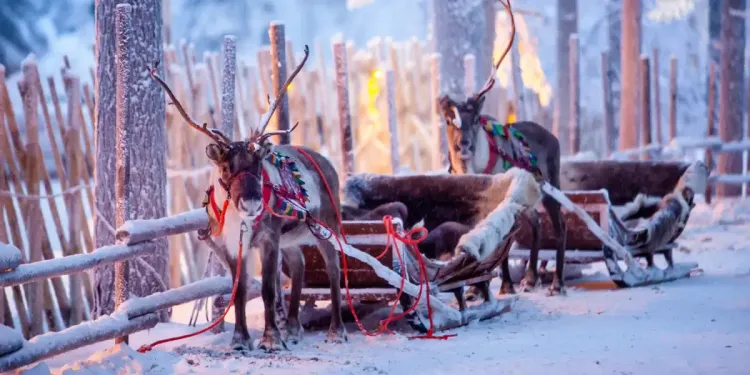 Severská nadílka letenek STUDENT AGENCY Severská nadílka letenek STUDENT AGENCY