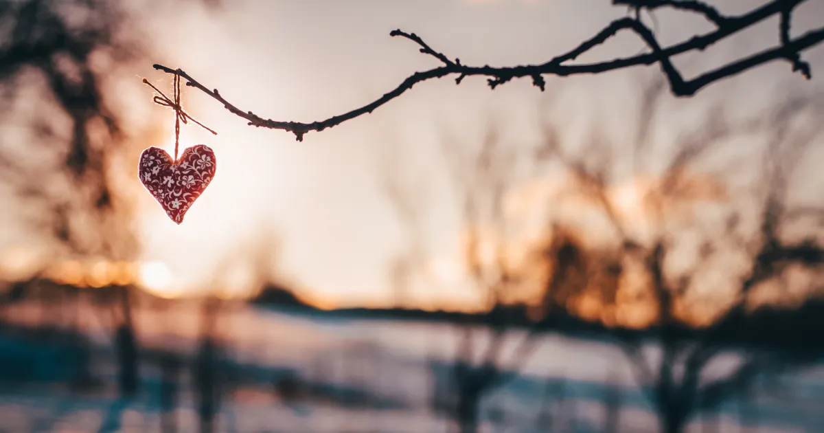 Kam letět v únoru? Kam letět v únoru?