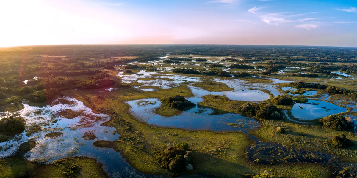 Pantanal Pantanal