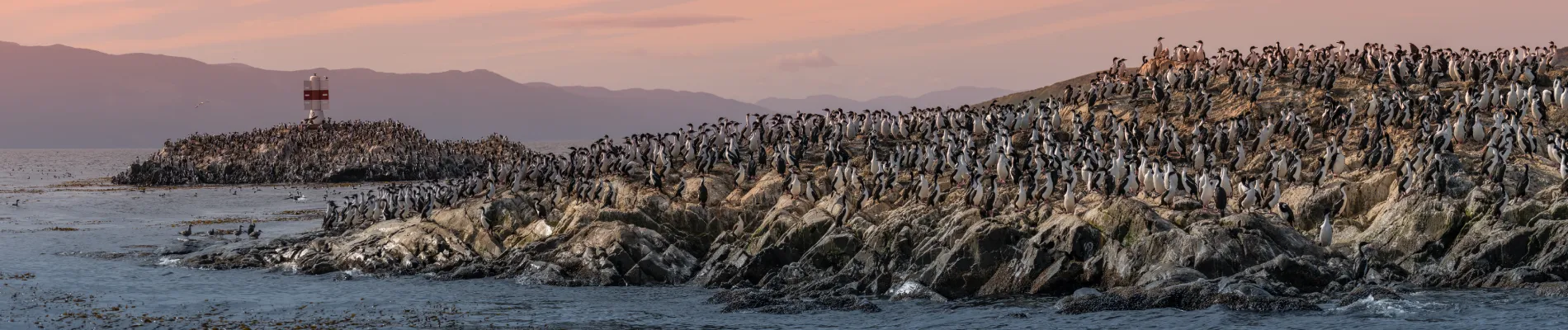 Průliv Beagle Průliv Beagle