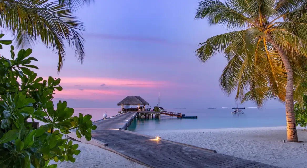 Exotika- banner velký (1).webp