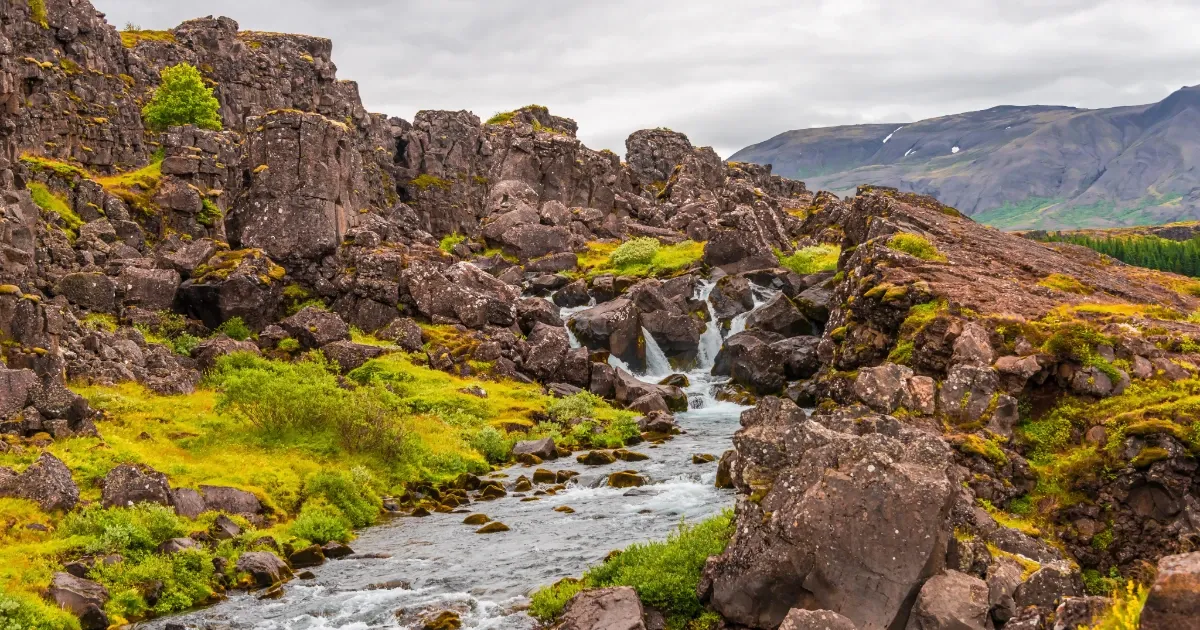 Co vidět v Reykjavíku? Co vidět v Reykjavíku?