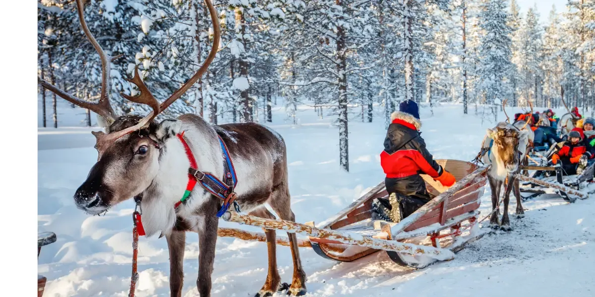 Laponsko - Rovaniemi Laponsko - Rovaniemi