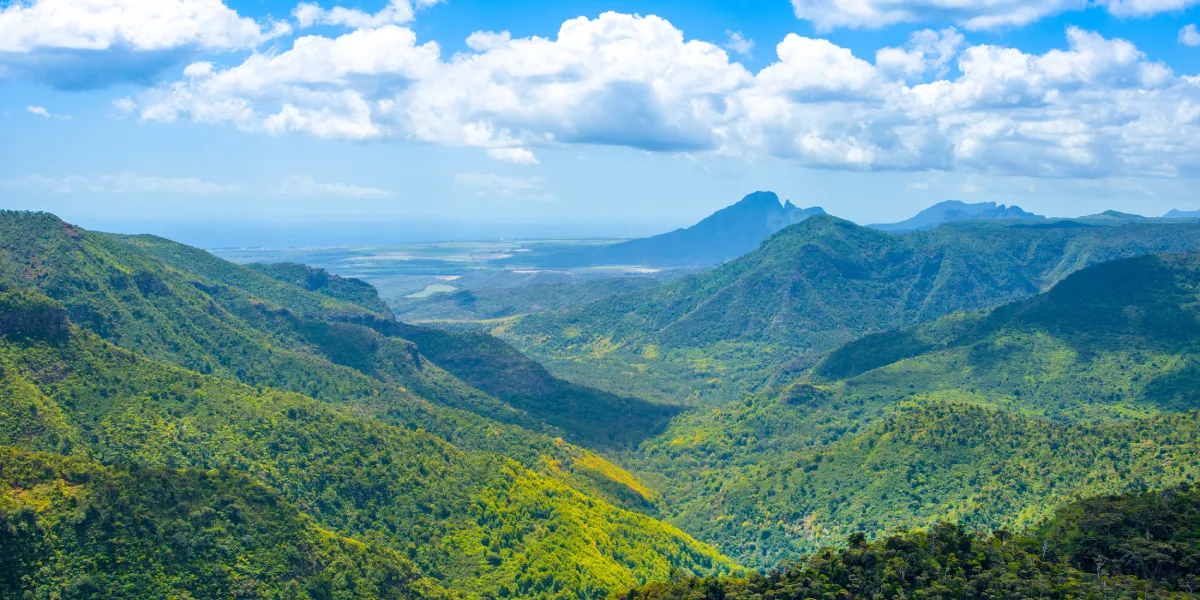 Národní park Black River Gorges Národní park Black River Gorges