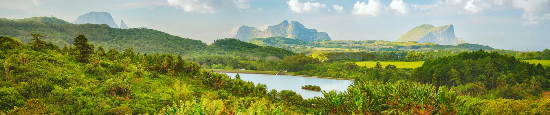 Národní park Black River Gorges Národní park Black River Gorges
