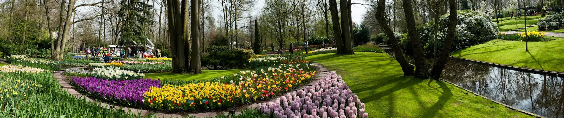 Nizozemsko, Keukenhof Nizozemsko, Keukenhof