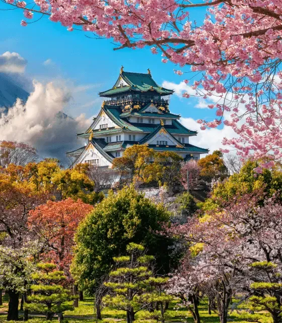 Osaka- 560x640 (1).webp