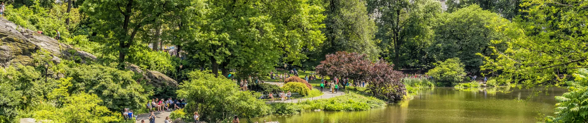 Jeden z mnoha chicagských parků Jeden z mnoha chicagských parků