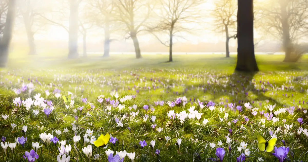 Kam letět v březnu? Kam letět v březnu?