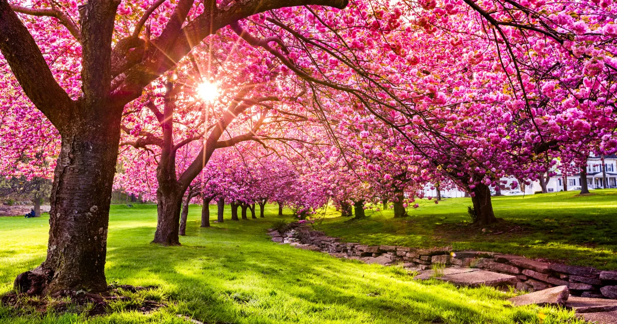 Kam letět v dubnu? Kam letět v dubnu?