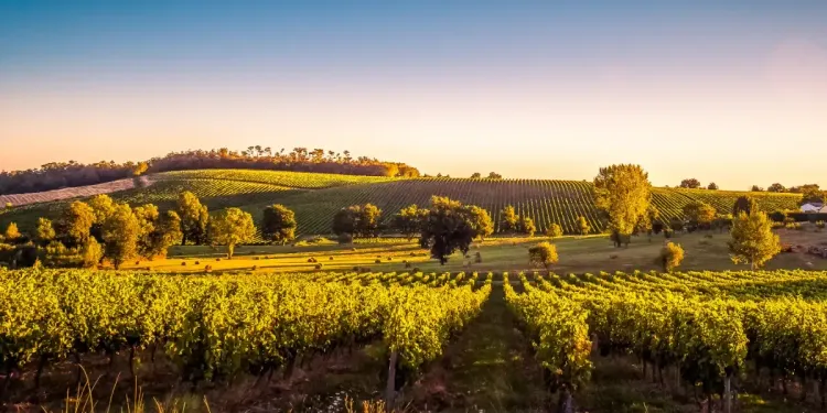 Nová linka EasyJet Praha - Bordeaux Nová linka EasyJet Praha - Bordeaux