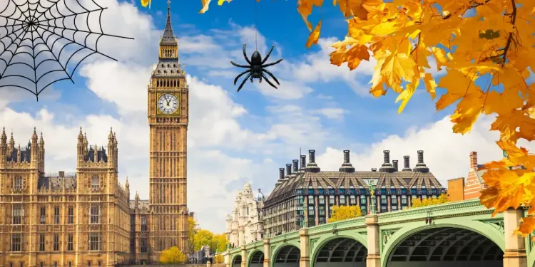 Naše halloweenské letenky vás nevyděsí! Naše halloweenské letenky vás nevyděsí!