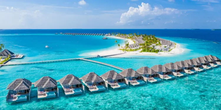 Skutečná exotika za neskutečné ceny Skutečná exotika za neskutečné ceny