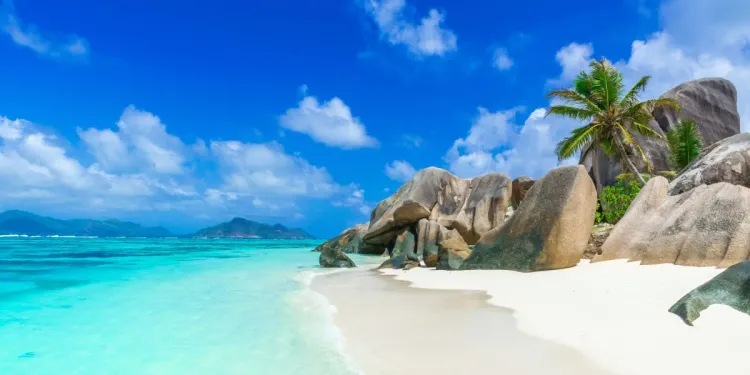 Důležité informace o vstupních formulářích na Seychely, Maledivy a Mauricius Důležité informace o vstupních formulářích na Seychely, Maledivy a Mauricius