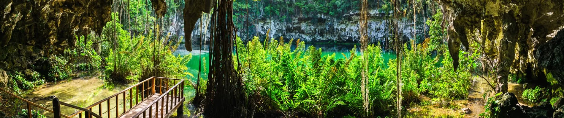 Jezero Los Zaramagullones  Jezero Los Zaramagullones