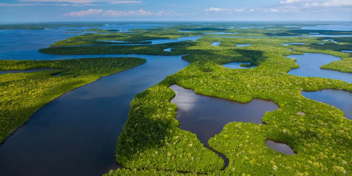 Everglades Everglades