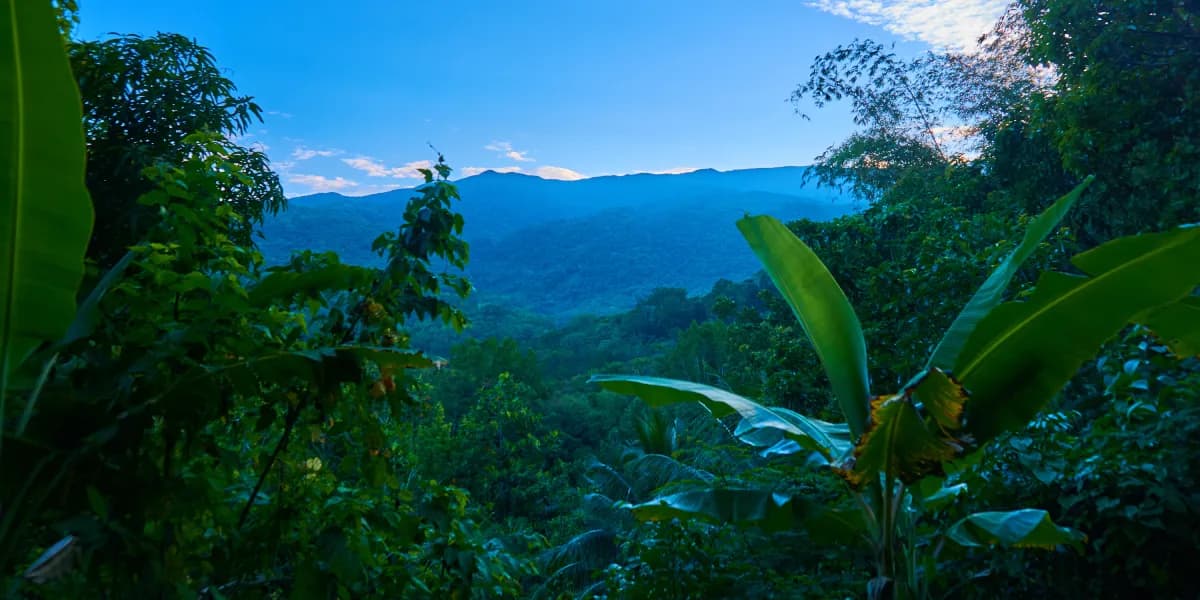 Blue Mountains Blue Mountains