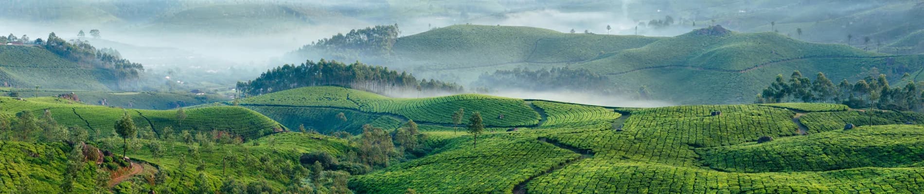 Munnar Munnar